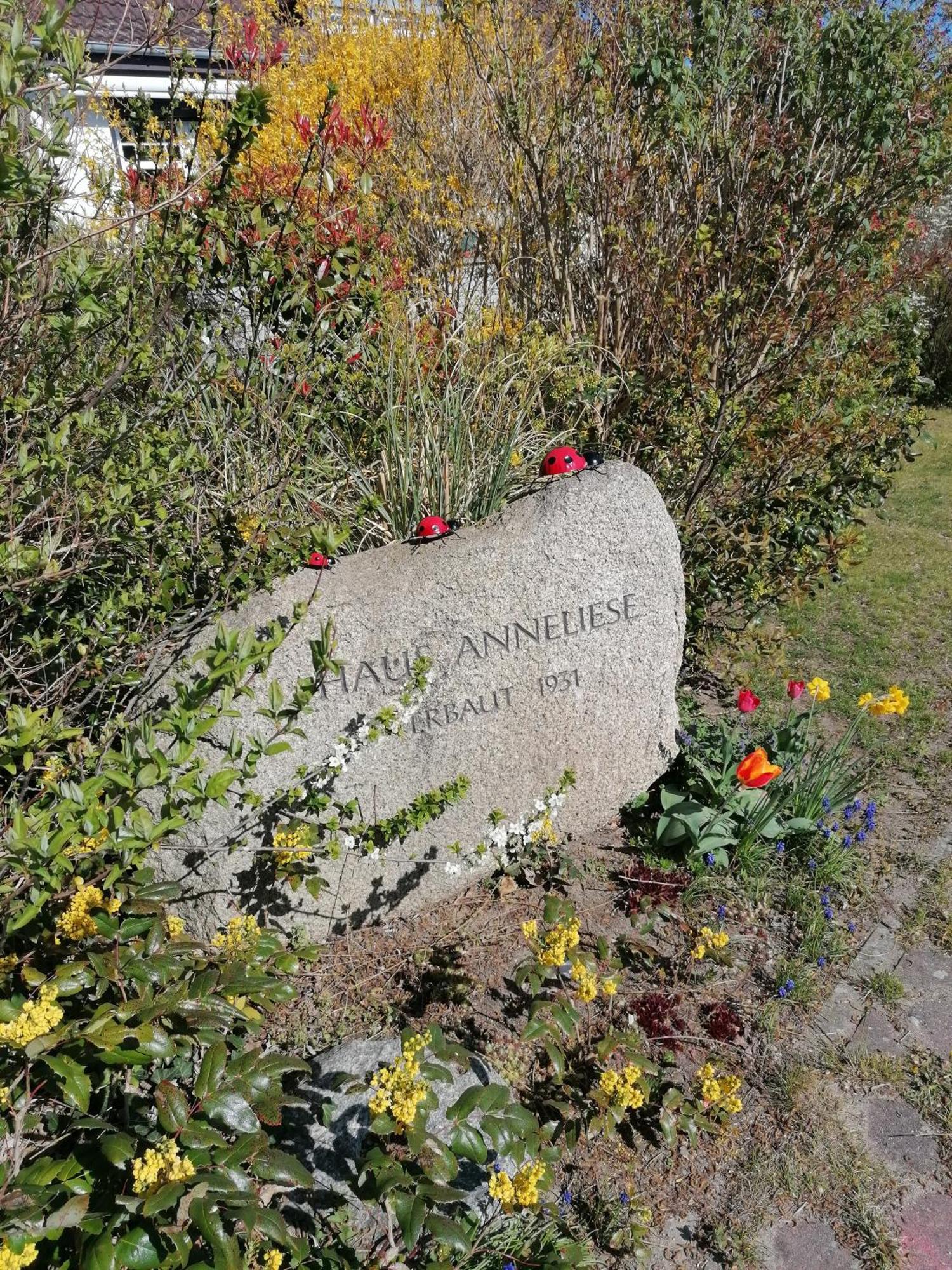 Pension Haus Anneliese Uckeritz Eksteriør bilde